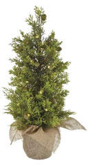 EMOS LED karácsonyfa dekoráció, időzítős, elemről működő, IP44 (50 cm) meleg fehér (DCTW31)