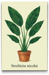  Festés számok szerint - Óriás Strelitzia Méret: 40x60cm, Keretezés: Kartonlemezen