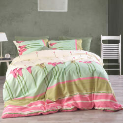 Palatex Set Cearșafuri Dublu cu Elastic 140x200+20cm. Space PC 1912135 Olia 4buc (1912135)