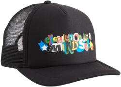 PUMA Kosárlabda Trucker sapka fekete