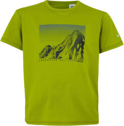 Regatta Gyerekek/gyerekek Alvarado IX Mountain póló sárga|zöld