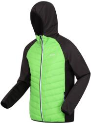 Regatta Steppjacke Andreson VIII Hybrid Wandern/Outdoor/Trekking Herren JasmnGrn/Ash 3XL szürke|zöld