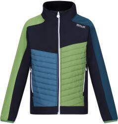 Regatta Gyermekek/gyerekek Brynden Padded Full Zip Soft Shell kabát kék|zöld