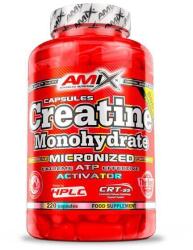 Amix Nutrition Mikronizált kreatin monohidrát - 220 kapszula Amix Nutrition