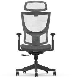 Flexispot BS8 ergonomikus irodai szék, Fekete- 9 állítható háttámla pozícióval, lélegző hálós kivitel (BS8PB)