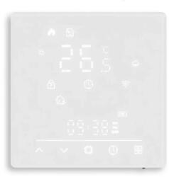 Moes Smart Matter WiFi Thermostat, GC Water/Gas Boiler 5A (MWHT-S02-GC)