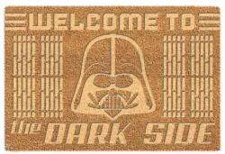 Pyramid Posters Star Wars Welcome To The Dark Side