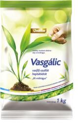  Vasgálic 1kg Vashiány Pótlására