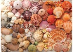 Galison 80608 - Vibrant Seashells - 1000 db-os puzzle (80608)