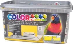 Colorline 4 kg színes napraforgó 05