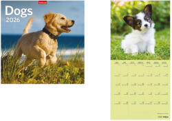 TopTimer Falinaptár 2026, T098 DOGS (26T9800-06A)