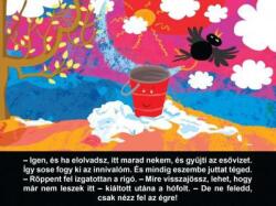 Diafilmgyártó Kft Hófoltmese - Diafilm