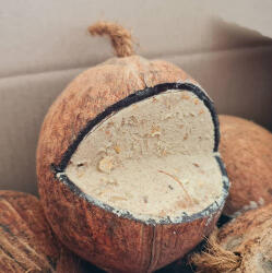 Panzi téli madáreleséggel töltött kókusz 500 g