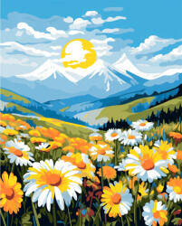 Alkotásutca Alpesi mező - Számfestő készlet kereten 40x50