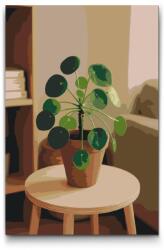  Festés számok szerint - Pilea peperomioides Méret: 40x60cm, Keretezés: Műanyagtáblával