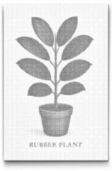  PontPöttyöző - Szobafikusz Méret: 40x60cm, Keretezés: Kartonlemezen, Szín: Fekete