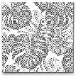  PontPöttyöző - Monstera Méret: 50x50cm, Keretezés: Kartonlemezen, Szín: Fekete