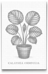  PontPöttyöző - Kerek levelű kalatea Méret: 40x60cm, Keretezés: Keret nélkül (csak a vászon), Szín: Zöld