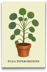  Festés számok szerint - Pénzlevelű pilea Méret: 40x60cm, Keretezés: Keret nélkül (csak a vászon)