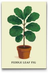  Festés számok szerint - Lantlevelű fikusz Méret: 40x60cm, Keretezés: Kartonlemezen