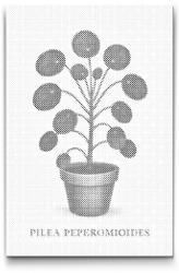  PontPöttyöző - Pénzlevelű pilea Méret: 40x60cm, Keretezés: Keret nélkül (csak a vászon), Szín: Piros