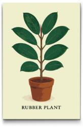  Festés számok szerint - Szobafikusz Méret: 40x60cm, Keretezés: Műanyagtáblával