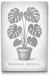  PontPöttyöző - Monstera deliciosa Méret: 40x60cm, Keretezés: Kartonlemezen, Szín: Piros