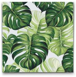  Festés számok szerint - Monstera Méret: 50x50cm, Keretezés: Keret nélkül (csak a vászon)