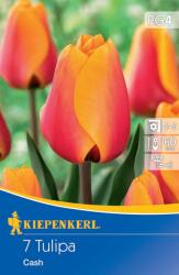 kiepenkerl Lalele Cash (504479)