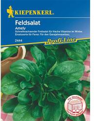 kiepenkerl Semințe de salată de câmp (Fetică) Amely (87276)