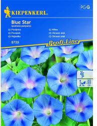 kiepenkerl Semințe de zorele (Ipomea) Blue Star (86268)