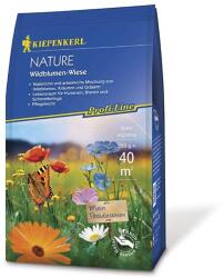 kiepenkerl Semințe gazon Wildflower Meadow (96901)