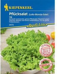 kiepenkerl Semințe de salată de frunze Vili (96649)