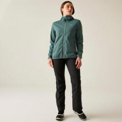 DARE 2B Iced Softshell Női softshell felső szürke