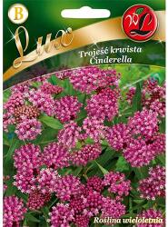 Legutko Semințe de iarba fluturilor Cinderella (96780)