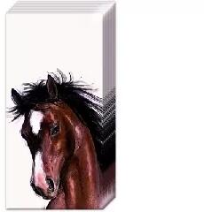 Papír zsebkendő 4 rétegű 10 db/cs - IHR Ló (709414-PT599790)