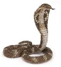 Papo : Király kobra (08372)