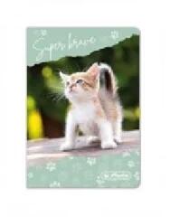 Herlitz Herlitz: Bankkártyatartó 8 duplabetétes Cica (09092008C)