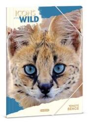Ars Una Icons of the Wild-Serval 25 (5503) A4 gumis mappa (ARS_UNA_50215034) (ARS_UNA_50215034)