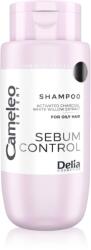 Delia Cosmetics Cameleo Expert Sebum Control Shampoo sampon hajolajjal 300 ml