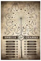 Grupo Erik Harry Potter - Spells & Charms - plakát