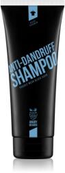 Angry Beards Bush Shaman Anti-Dandruff Shampoo sampon korpásodás ellen 230 ml