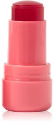 Technic Cosmetics Jelly Tint pirosító stick az arcra és a szájra árnyalat Peach Fizz 9 g