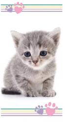 Jerry Fabrics Cicás törölköző fürdőlepedő színes (5300791)