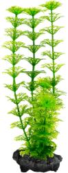 Tetra Műnövény Tetra Ambulia M