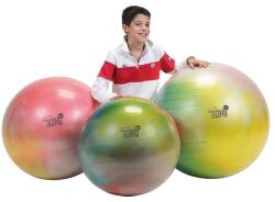  Gymnic Arte fitnesz labda Ø 65 cm BRQ, színes