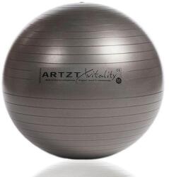 Artzt thepro ABS gimnasztikai labda, átmérő: 55 cm