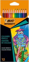 BIC Creioane colorate Intensity, mina ultra-rezistenta, 12 culori/set BIC 9505273