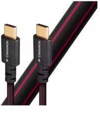 AudioQuest Cinnamon USB C - USB C kábel