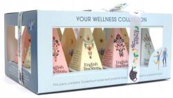  Bio piramis gyümölcsös-gyógynövényes tea kollekció (your wellness 6 íz) (680275060888)